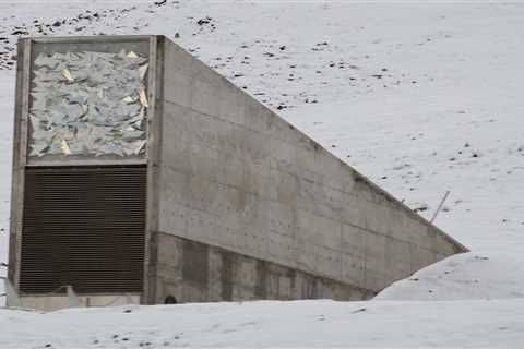 Safeguarding Our Future: The Power of Svalbard Seed Vault