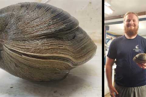 Florida Man Finds Clam Believed to Be 214 Years Old