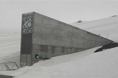 Protect Your Family’s Future with Our Reliable Seed Vault