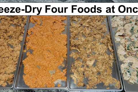 What Happens if You Freeze Dry Four Different Foods at Once?