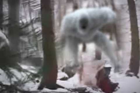 What This Trail Cam Captured in Russia SHOCKED the Whole World