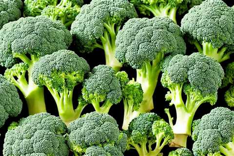 Discover Where to Buy the Best Broccoli Sprouting Seeds: A Definitive Guide