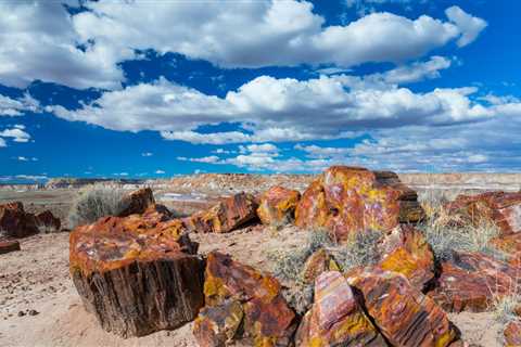 Frozen in Time: Petrified Forest National Park