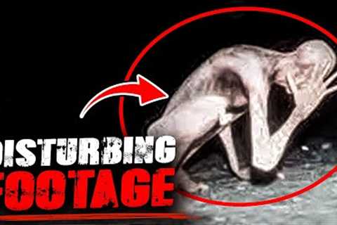 Disturbing Trail Cam Captures That SHOCKED the WORLD #3