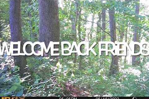 Trail Camera Video Middle Tennessee 16