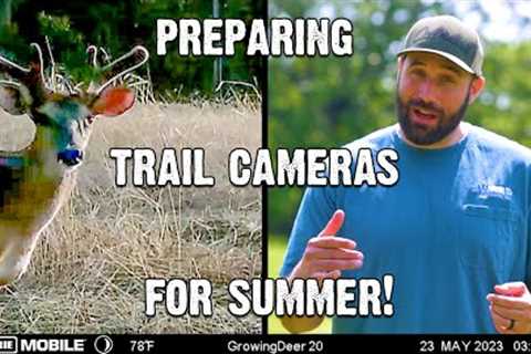 Get ready for the summer with these Must-Have Trail Camera Tips!