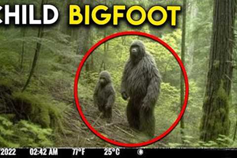 Trail Cam Footage That Will Leave You Absolutely Shocked