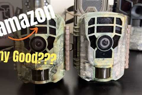 Amazon BUDGET (CamPark) Trail Camera Review With Videos & Pictures