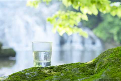 Water Purification: Common Contaminants and Methods to Eliminate Them