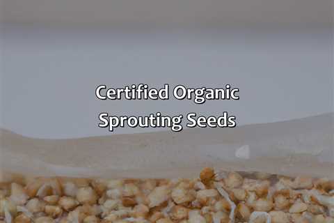 Certified Organic Sprouting Seeds