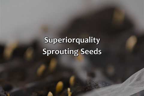 Superior-Quality Sprouting Seeds