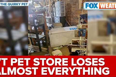 'Almost Everything You See Is All Thrown Out Now': VT Flooding Sent Feet Of Water Into Pet Shop