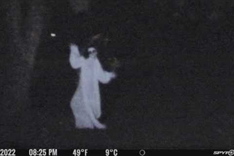 Most Disturbing Things Ever Caught on Trail Cam 2023