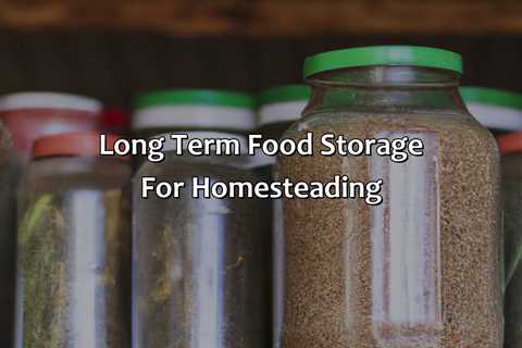 Long Term Food Storage For Homesteading