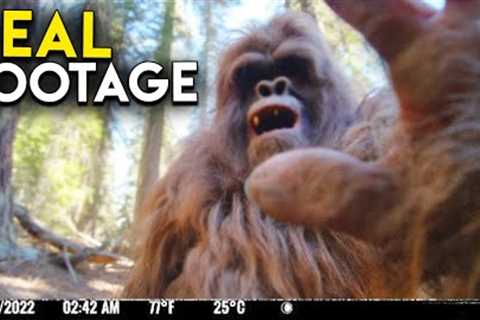 UNCANNY Trail Cam Footage that Will Shock You