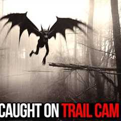 Most VIRAL Trail Cam Footage EVER Released