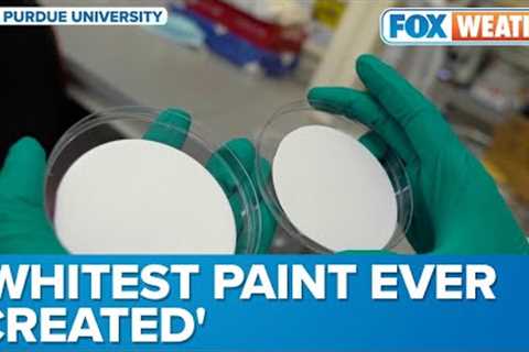 'Whitest Paint Ever Created': New Reflective Paint Would Direct Heat Away From Homes