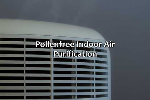 Pollen-Free Indoor Air Purification