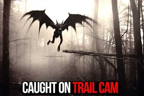 Most VIRAL Trail Cam Footage EVER Released