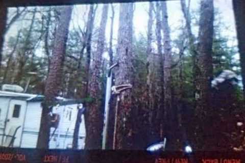 THIS IS NOT WHAT WE EXPECTED TO SEE ON OUR TRAIL CAM!!