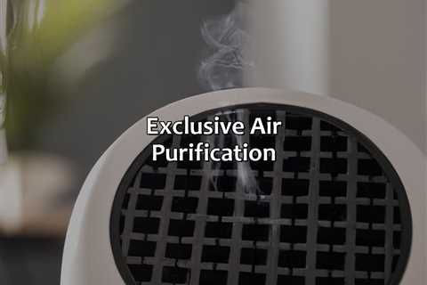 Exclusive Air Purification