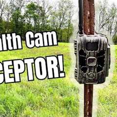 Is THIS $130 TRAIL CAM Worth The Money? | StealthCam DECEPTOR