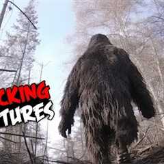 Shocking Trail Cam Vids You Have to See to Believe