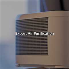 Expert Air Purification