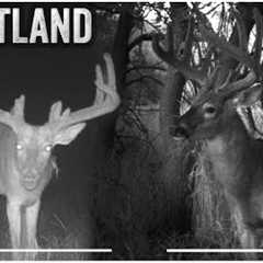 Giant Iowa Bucks On Trail Camera, Setting The Stage For Hunting Season | Midwest Whitetail