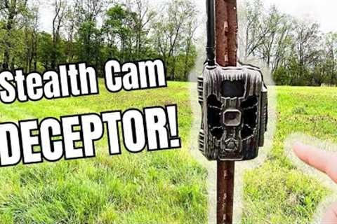 Is THIS $130 TRAIL CAM Worth The Money? | StealthCam DECEPTOR