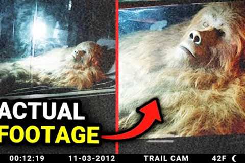 Trail Cam Footage The Internet Can''t Seem To Explain