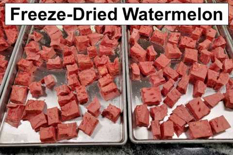 Freeze-Dried Watermelon