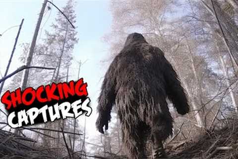 Shocking Trail Cam Vids You Have to See to Believe