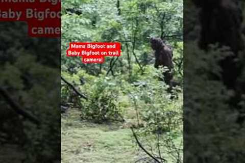 Female Bigfoot with Baby Hanging on its Back Captured on Trail Camera! | Squatch Watchers Shorts