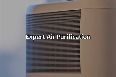 Expert Air Purification