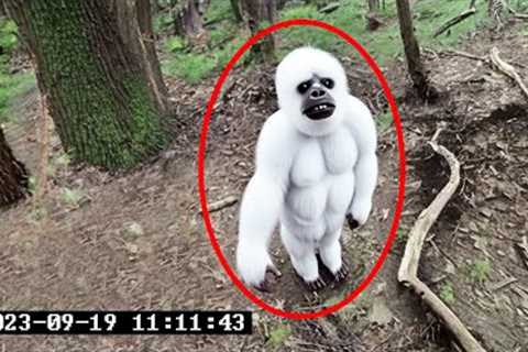 15 SCARIEST Trail Cam Videos You''ll Ever See..