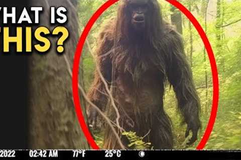 People Are Disturbed By THIS Trail Cam Footage