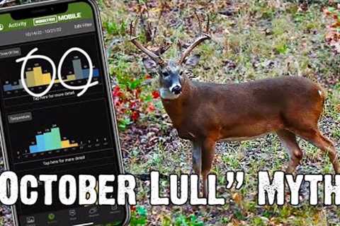 Does the October Lull Exist? - Trail Camera Tips