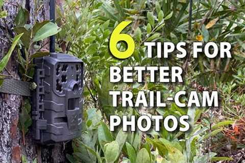 6 Tips for Trail-Camera Setup to Get More & Better Deer Photos