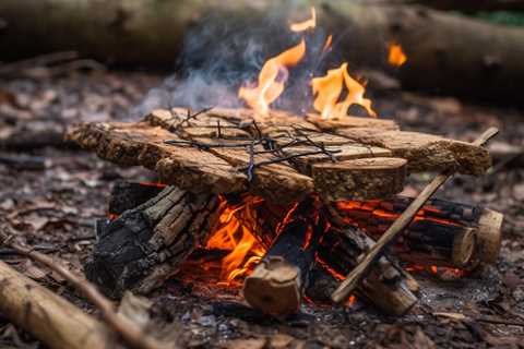 Choosing the Best Kindling for Your Campfire: A Guide - CampingTent