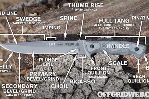 Knife Anatomy 101: Infographic & Terms