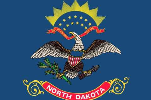 Are Tasers Legal in North Dakota?