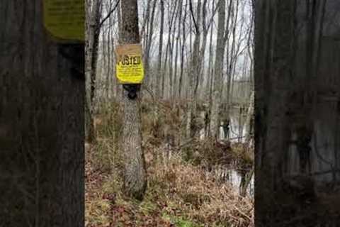 Checking trail camera along the river bank.