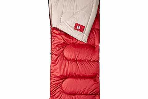 Coleman Palmetto Cool-Weather Sleeping Bag, 30°F Lightweight Camping Sleeping Bag for Adults,..