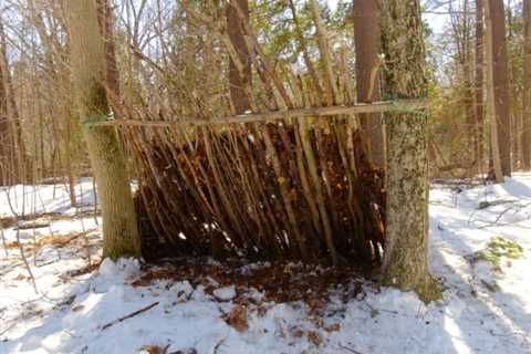 14 Primitive Shelters You Can Make in the Wild