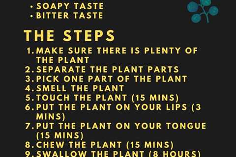 Universal Edibility Test | How to Test if Any Plant is Edible