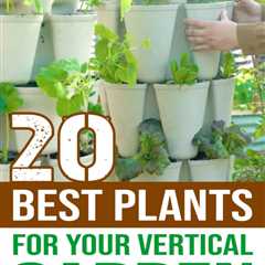 20 Best Plants For Your Vertical Garden