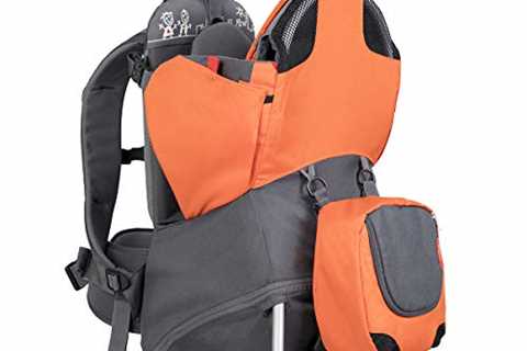 phil&teds Parade Child Carrier Frame Backpack - The Camping Companion