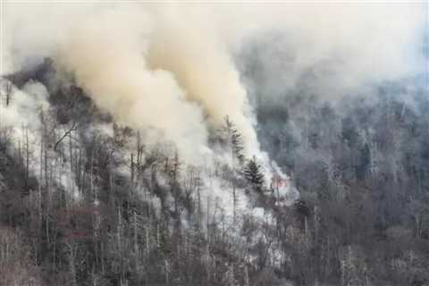 Possible Arson Case Under Investigation in Great Smoky Mountains National Park