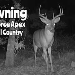TX Hill Country Cam: Browning Strike Force Apex Trail Camera Sept. 17- Nov. 29, 2023